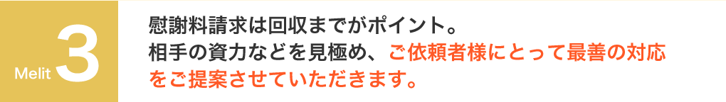 慰謝料請求は回収までがポイント。相手の資力などを見極め、ご依頼者様にとって最善の対応をご提案させていただきます。